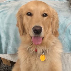 Meet your Posher, John patrick